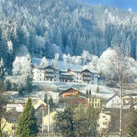 Panorama Lambach Appartament Mürzzuschlag Exteriér fotografie